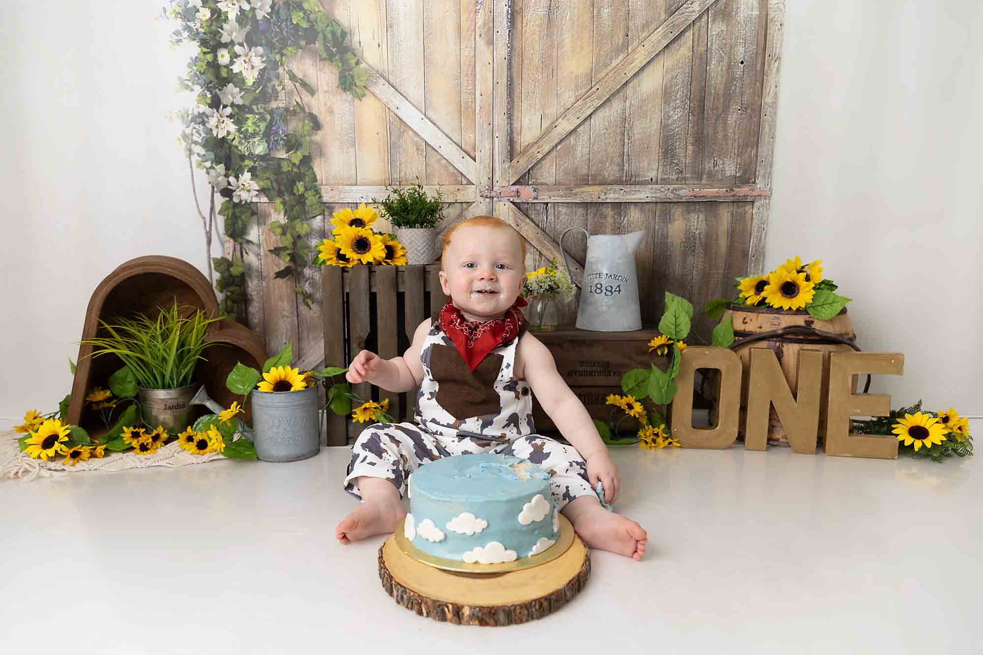 sunflower cake smash